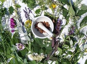 zelišča za zdravljenje osteohondroze